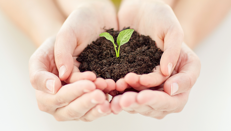 기타 정책 연구